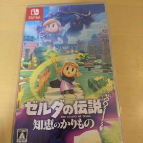 当日投函可 Switch ゼルダの伝説 知恵のかりもの