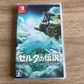ゼルダの伝説 ティアーズ オブ ザ キングダム