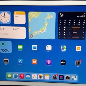 iPad Pro 12.9 インチ (第2世代) SIM フリー