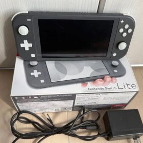 Nintendo Switch Lite グレー 本体 ( unlocked)