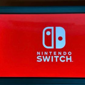 Switchライト ジャンク