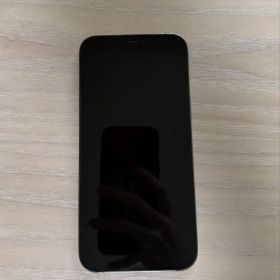 iPhone 12 ProMax 256GB グラファイト