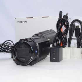 SONY 4K ビデオカメラ Handycam FDR-AX45A(2022年モデル) ブラック 内蔵メモリー64GB 光学ズーム20倍 空間光学手ブレ補正 FDR-AX45A B