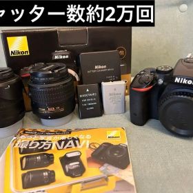 【良品シャッター数約2万回】Nikon D5500 レンズキット