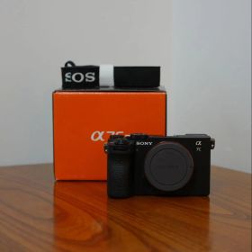 【シャッター回数3676回】SONY α7CⅡ ボディ
