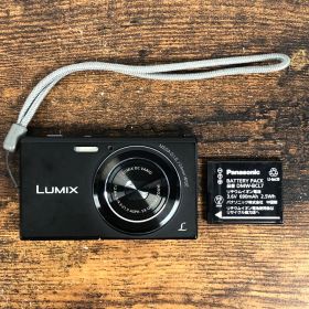 ジャンク Panasonic Lumix DMC-FH10