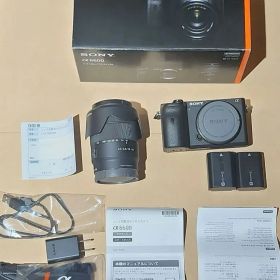 SONY α6600 ミラーレス一眼 E 18-135mm レンズキット