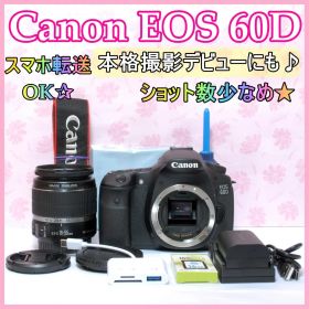 ⭐️スマホ転送OK⭐️Canon EOS 60D キャノン デジタル一眼レフ