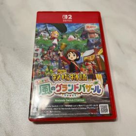 Switch 牧場物語 Let's!風のグランドバザール