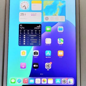極美品 ipad mini5 256gb