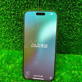 【海外版】iPhone 16 Pro Max 1T デザートチタニウム
