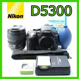 Nikon D5300★Wi-Fiで写真をスマホ転送★レンズセット★すぐ使える