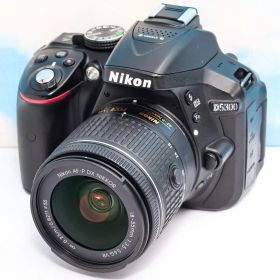 ニコン Nikon D5300⭐️WIFI機能搭載！⭐️一眼レフ⭐️おまけ多数