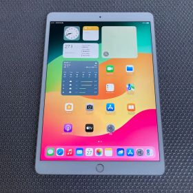 238 外観美品☆iPad Pro 256GB 10.5インチ SIMフリー☆