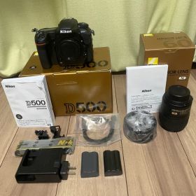 【ショット数2734枚の美品】ニコン Nikon D500 レンズセット