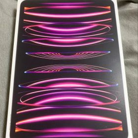 Apple iPad Pro 第４世代