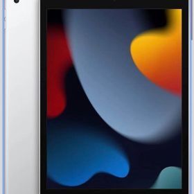 2021 Apple 10.2インチiPad (Wi-Fi, 64GB)