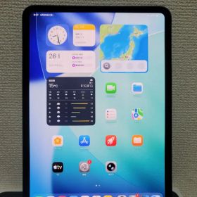 Ipad Pro 2024 M4 WiFi 256GB