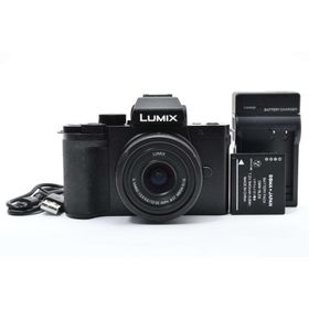 Panasonic Lumix DC-G100 レンズキット ミラーレスカメラ(ミラーレス一眼)