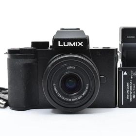 Panasonic Lumix DC-G100 レンズキット ミラーレスカメラ