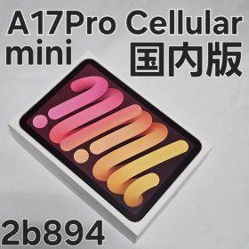 iPad mini A17 Pro Cellular 128GB 国内版