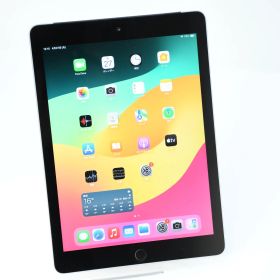 【バッテリー最大容量98％】docomo SIMフリーiPad 第6世代 32GB スペースグレイ