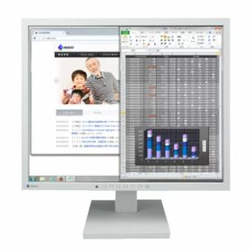 ナナオ（EIZO） FlexScan S1934-TGY [19型カラー液晶モニター S1934 セレーングレイ]