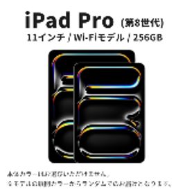 【ふるさと納税】【数量限定】Apple iPad Pro 11インチ 2025年発売 第8世代 256GB Wi-Fiモデル [?5619-2462]