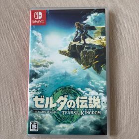 ゼルダの伝説 ティアーズ オブ ザ キングダム