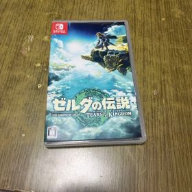ゼルダの伝説 ティアーズ オブ ザ キングダム