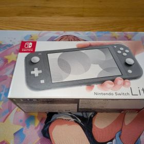 Nintendo Switch Lite グレー 本体 新品未使用