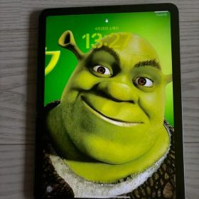 【美品】ipad air 第4世代 64GB wifi+セルラー SIMフリー