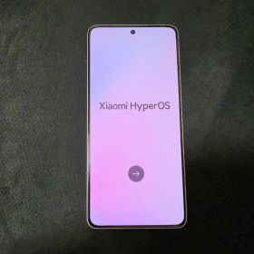 Xiaomi 14T Pro 256gb 国内版