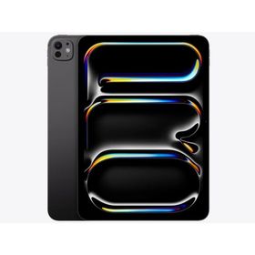 【ラッピング可】【即日発送】【新品】Apple アップル iPad Pro 11インチ Wi-Fi 256GB 2025年秋モデル MDWK4J/A スペースブラック