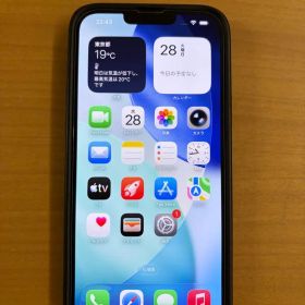 国外購入シャッター音なし iPhone 13 Pro MAX 512GB