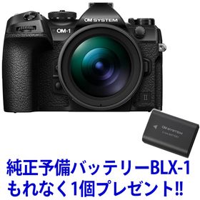 OM SYSTEM オーエムシステム OM-1 Mark II 12-40mm F2.8 PRO II キット