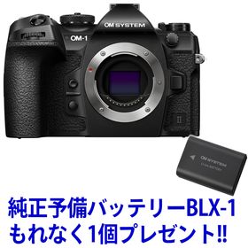 OM SYSTEM オーエムシステム OM-1 Mark II ボディー ミラーレス一眼カメラ