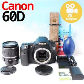すぐ使えるセット 初心者にも◎Canon EOS 60D 一眼レフ キャノン