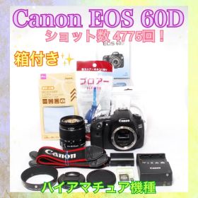 Canon EOS 60D◆ショット数少なめ◆ハイアマチュア機種◆一眼レフカメラ