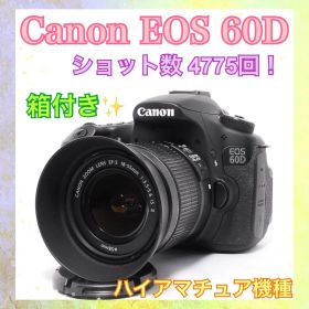 ショット数少なめ◆Canon EOS 60D◆一眼レフカメラ◆ハイアマチュア機種
