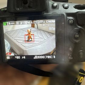ニコン D5100 レンズセット