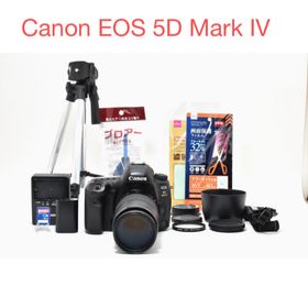 キヤノン(Canon)のCanon EOS 5D Mark IV / Canon EF 75-300mm(デジタル一眼)