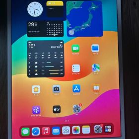 iPad pro 10.5インチ 64gb