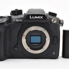 ショット数91369回 Panasonic LUMIX DC-GH5 #1512