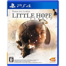 【送料無料】[PS4]/ゲーム/THE DARK PICTURES LITTLE HOPE