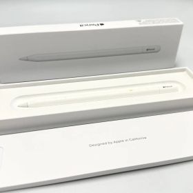 Apple Pencil アップル ペンシル USB-C MUWA3ZA/A