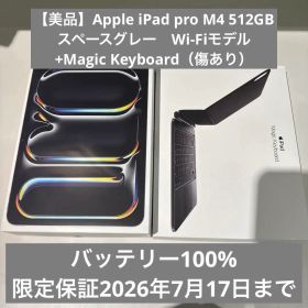 【バッテリー100%】iPad Pro M4 Pro 11インチ 512GB