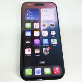 【SIMフリー】iPhone 16 Pro 256GB ブラックチタニウム MYN03J/A バッテリー最大容量88％ ※中古美品/利用〇