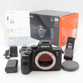 ソニー(SONY)のショット数109078 SONY ソニー α7 III ボディ ILCE-7M3(ミラーレス一眼)