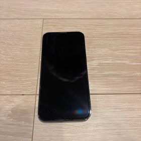 Apple iPhone 13 Pro グラファイト 256GB